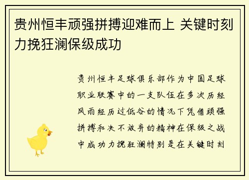 贵州恒丰顽强拼搏迎难而上 关键时刻力挽狂澜保级成功
